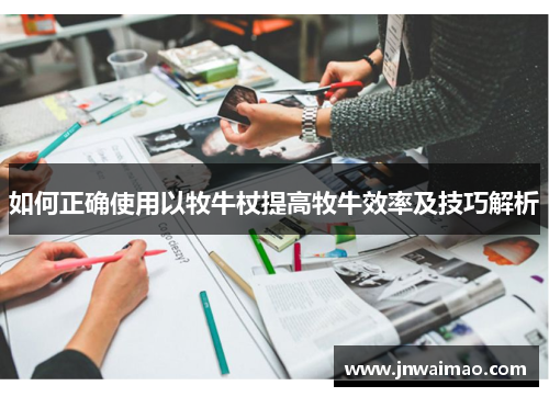 如何正确使用以牧牛杖提高牧牛效率及技巧解析