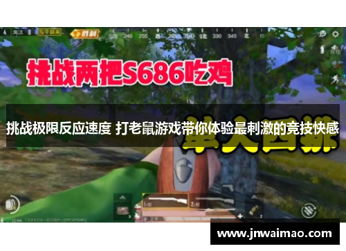 挑战极限反应速度 打老鼠游戏带你体验最刺激的竞技快感
