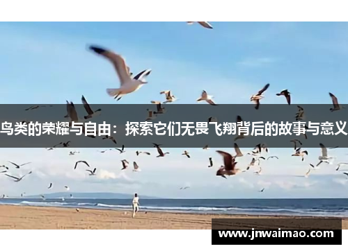 鸟类的荣耀与自由：探索它们无畏飞翔背后的故事与意义